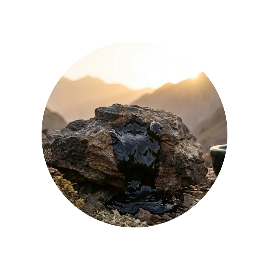 Shuddha Shilajit